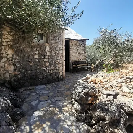 Robinson Crusoe Style House 
