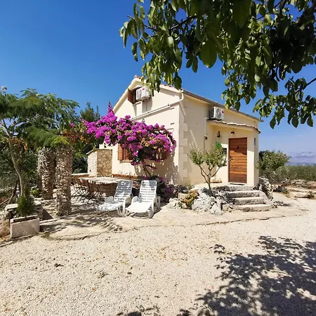 Robinson Crusoe Style House 